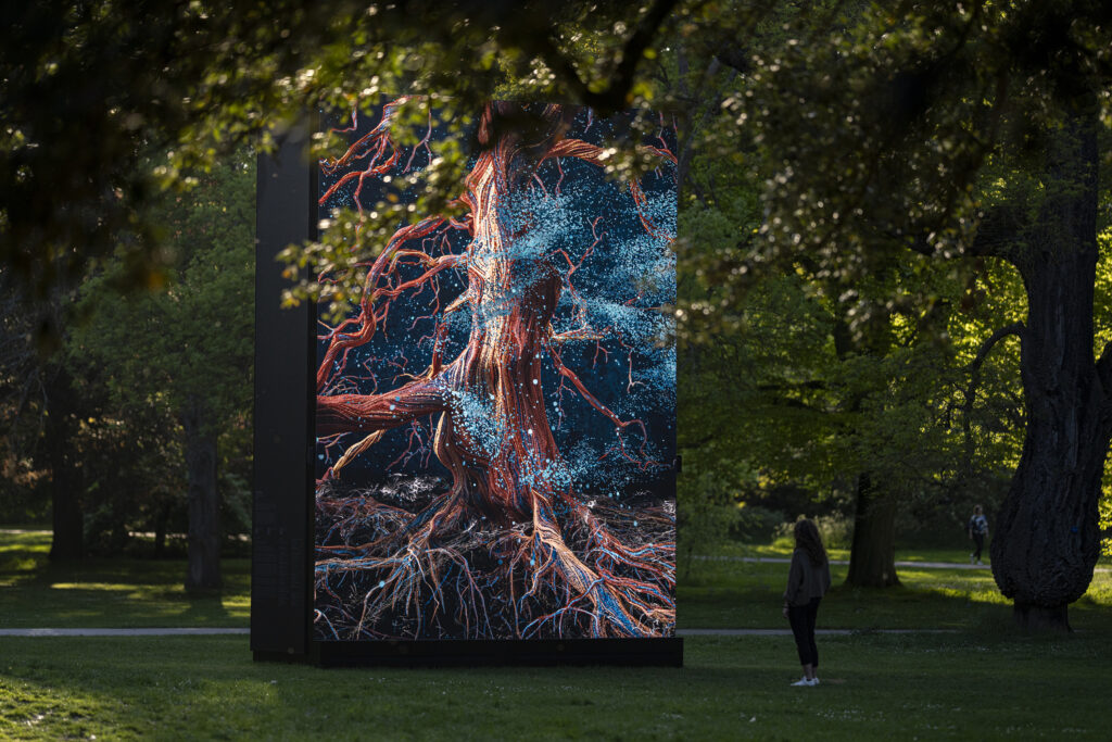 Of the Oak